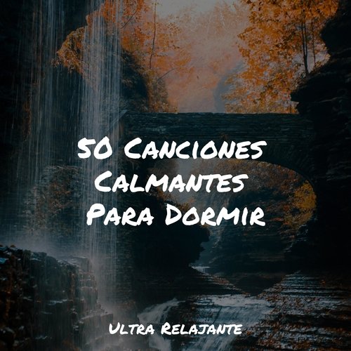 50 Canciones Calmantes Para Dormir