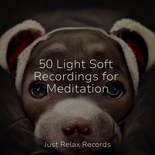 50 Light Soft Recordings for Meditation