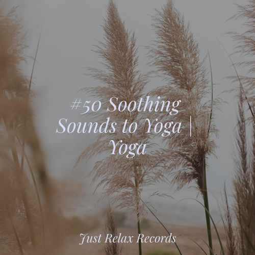 #50 Soothing Sounds to Yoga | Yoga