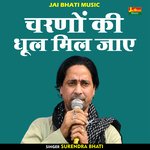 Charanon ki dhool mil jae (Hindi)