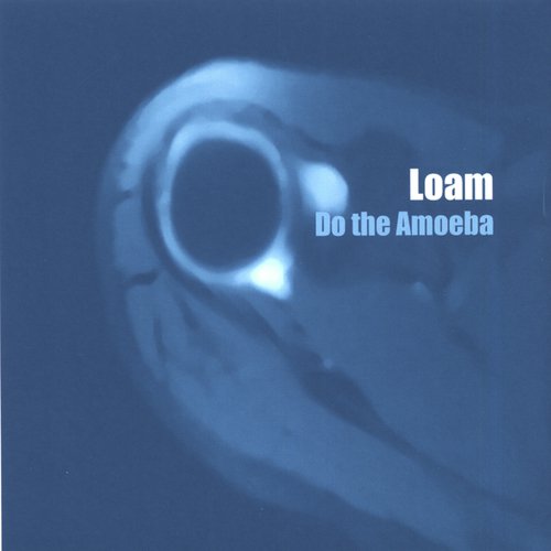 Do the Amoeba