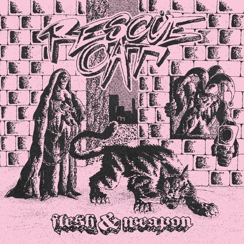 Flesh & weapon cover art