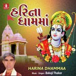 Jay Kaana Kaala-Aarti