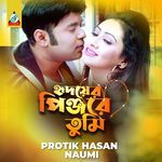 Hridoyer Pinjore Tumi