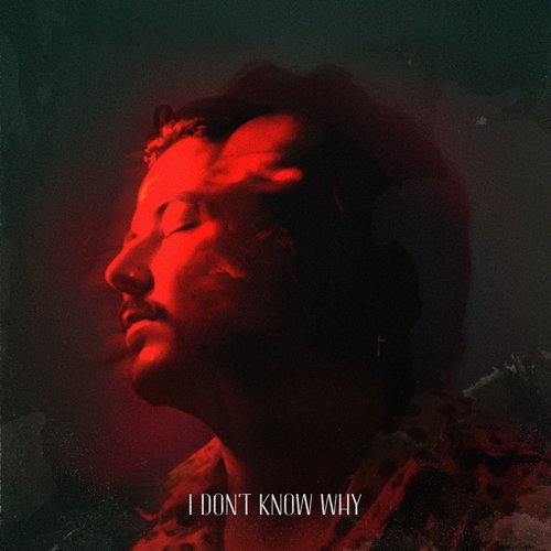 I don't know why - song and lyrics by AVAION