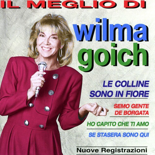 Il meglio_poster_image