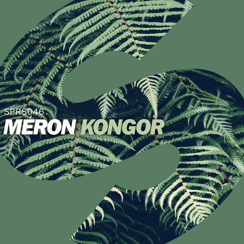 Kongor