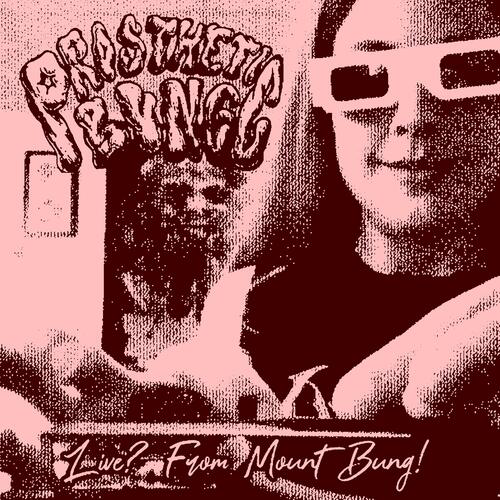 Live? From Mount Bung! cover art