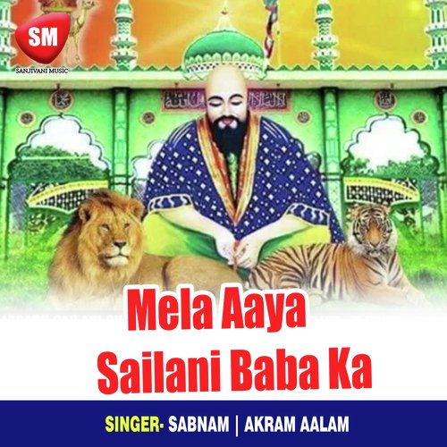 Mela Aaya Sailani Baba Ka_poster_image