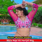Mere Raja Ke Hariyal Bag