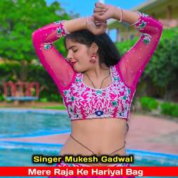 Mere Raja Ke Hariyal Bag