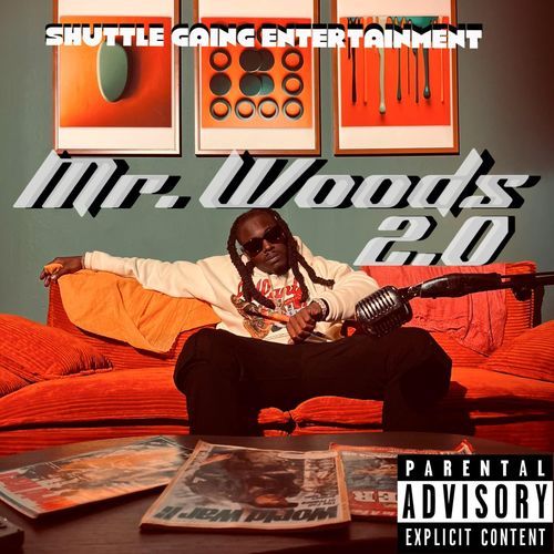 Mr Woods 2.0 cover art