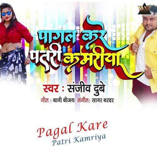 Pagal Kare Patri Kamriya