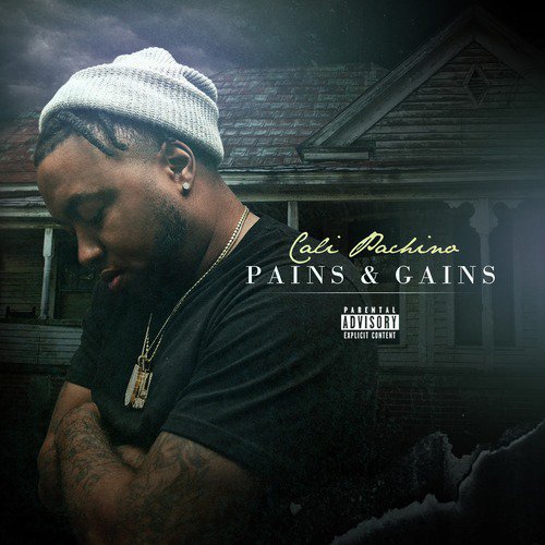 Pains &amp; Gains_poster_image