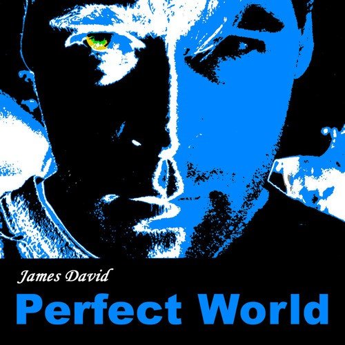 Perfect World_poster_image