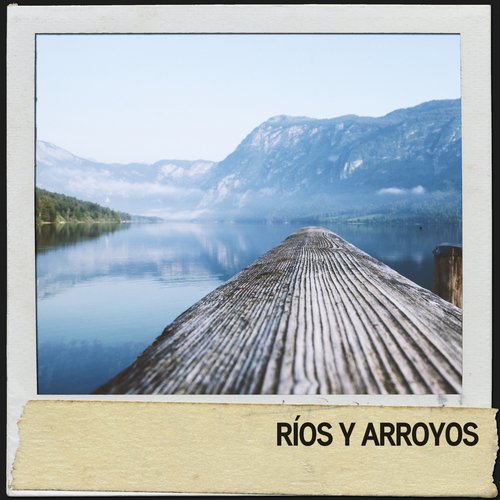 Ríos y Arroyos: Suaves Arroyos de Armonía