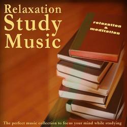 Relaxation Study Music