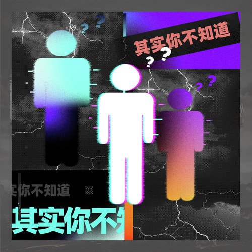 其实你不知道 (Remix)