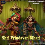 Shri Vrindavan Bihari