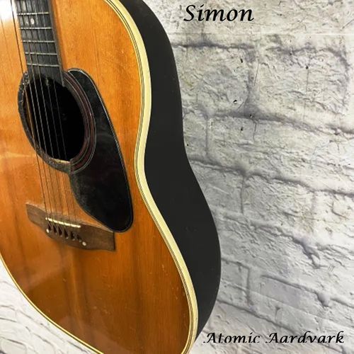 Simon cover art