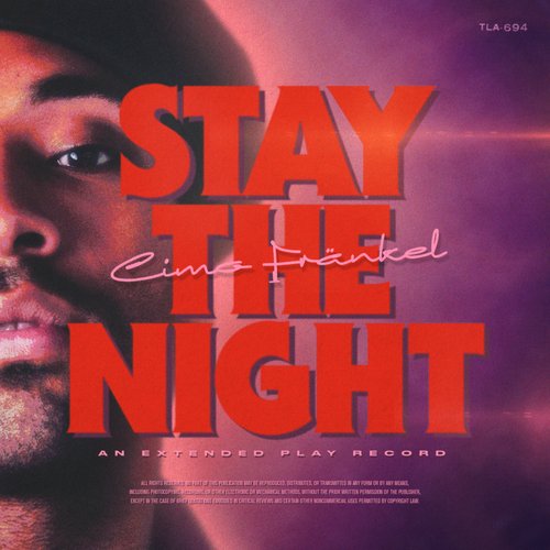 Stay the Night_poster_image