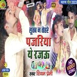 Sutab na tohre pajariya ye rajau (Dhobi geet)