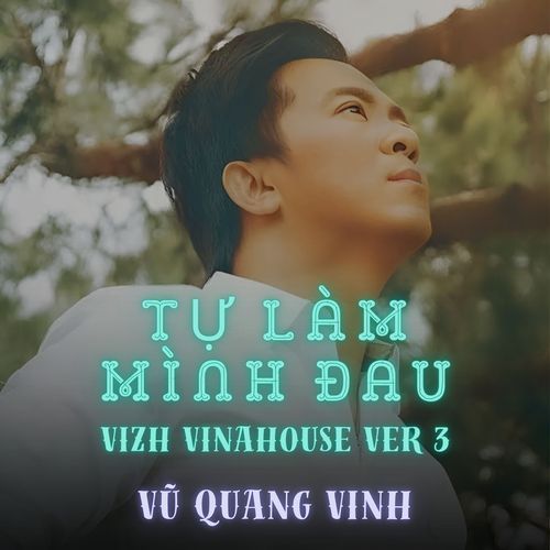 Tự Làm Mình Đau (Vizh Vinahosue Version 3)