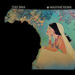 Tere Bina - Mastané Remix