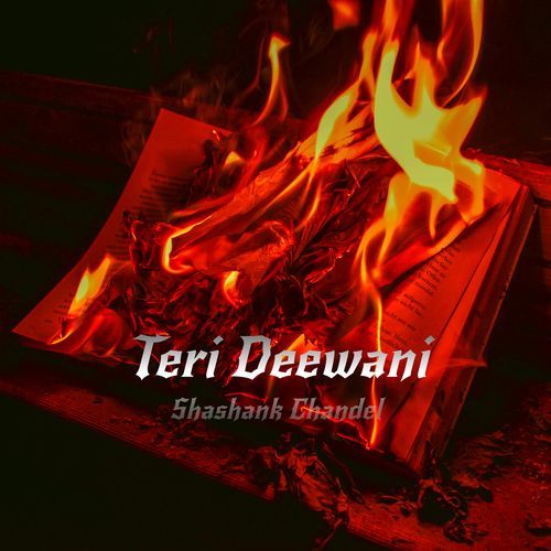 Teri Deewani (Rock Version)