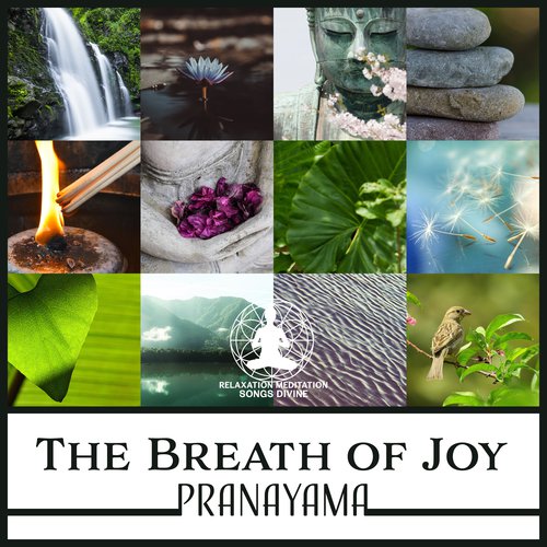 The Breath Of Joy (Pranayama – Yoga Music For Deep Breathing Exercises ...