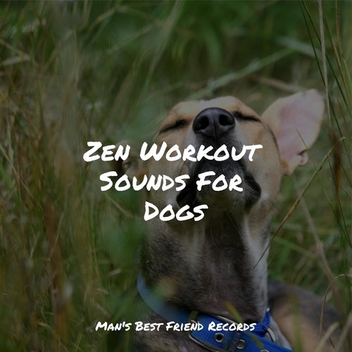 Meditating Music cover art