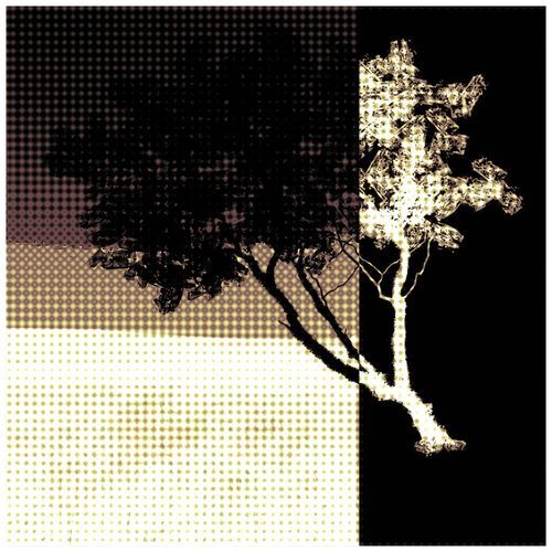 k-li (cache)
