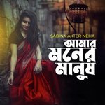 Jonglar Pakhi Pos Mane Na