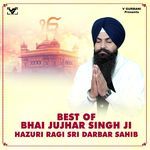 Vanjare Sikh Aavande
