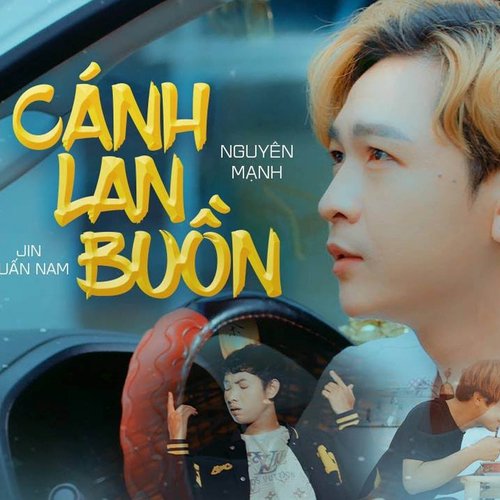 Cánh Lan Buồn_poster_image