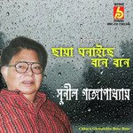 Chhaya Ghonaichhe Bone Bone