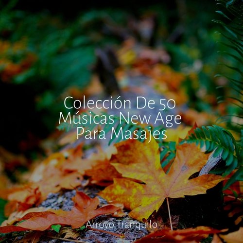 Colección De 50 Músicas New Age Para Masajes