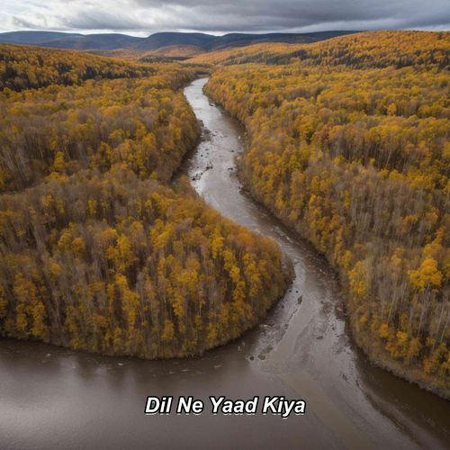 Dil Ne Yaad Kiya