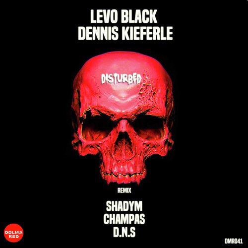 Disturbed (Shadym Remix) cover art
