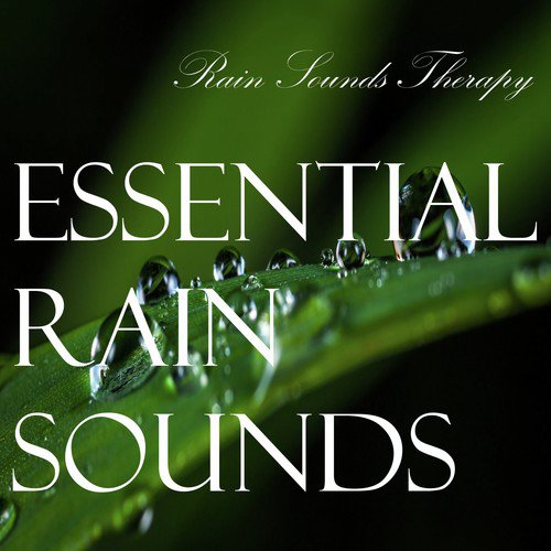 Essential Rain Sounds