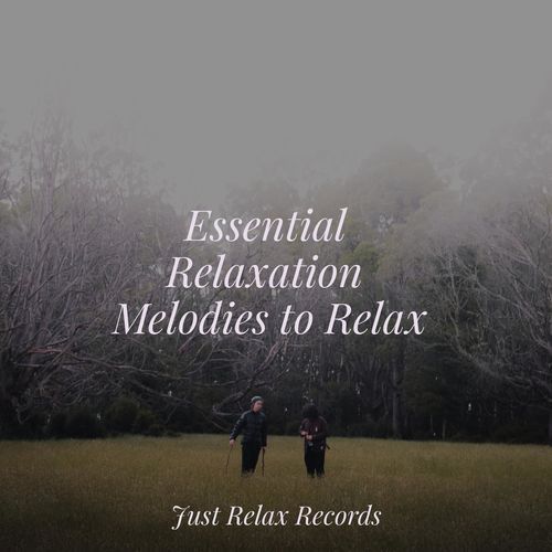 Essential Relaxation Melodies to Relax