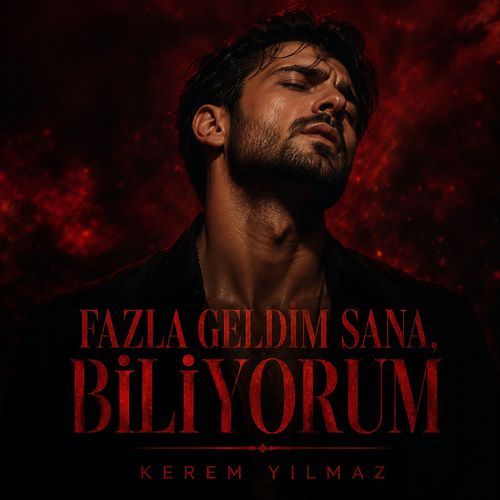 Fazla Geldim Sana, Biliyorum