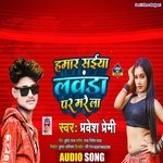 Hamar Saiya Lawanda Par Marela