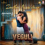 Indha Nimidam (From "Veguli")