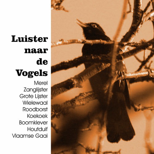 Grote Lijster cover art