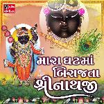 Mara Ghat Ma Birajta Shreenathji