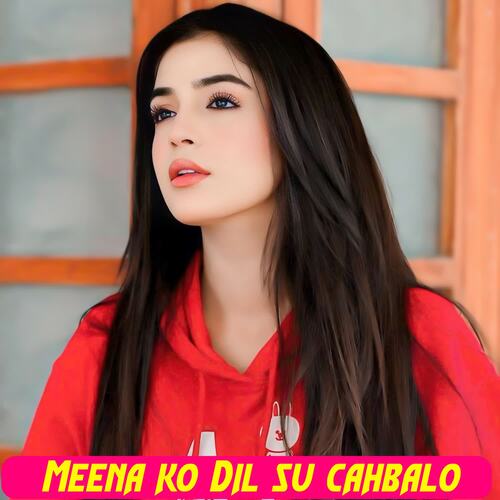 Meena ko Dil su cahbalo