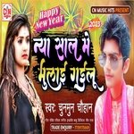 Naya Saal Me Bhulai Gailu