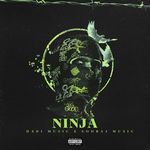 Ninja artwork