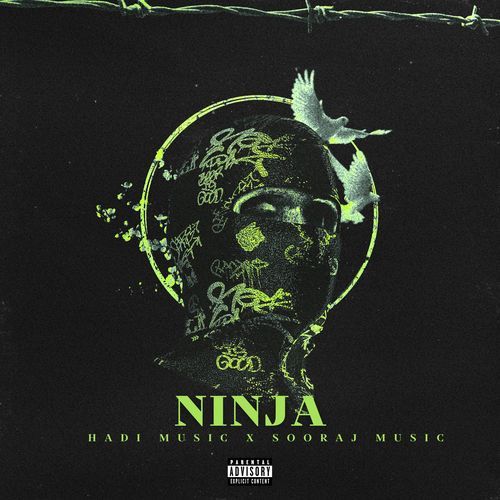 Ninja